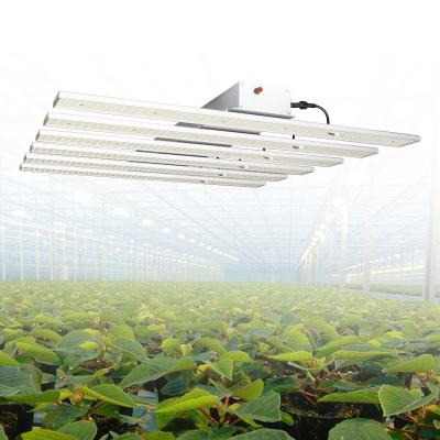 China Seed starting new product eco farm led grow light 1000w veg light led grow full spectrum for greenhouse plant for sale