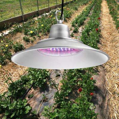 China Seed Seed Growing Professional Indoor Plant Lighting IP64 220V Small And Efficient Grow Lights For Indoor Plants Spectrum for sale