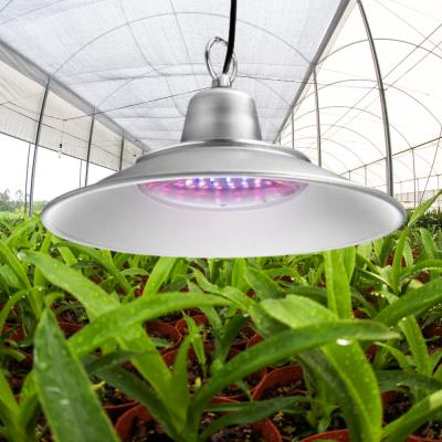 China Seed Starting High Efficiency 50W IR UV Power Saving Led To Grow Light IP64 Greenhouse Commercial Veg Plant Grow Lights Full Spectrum for sale