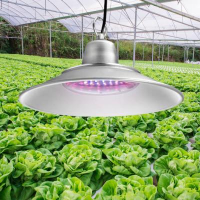 China Seed Starting 50W Power Saving Better For Raising Light 50W 220V Breeding Led Light For Plant Grow Light for sale