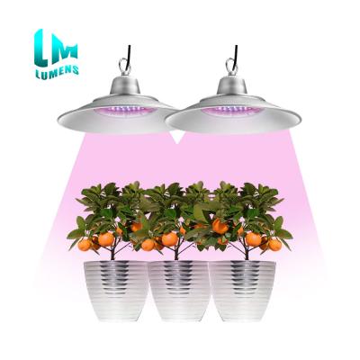 China Seed Starting Crop Supplement Veg Flower For Growing Light 50W IP64 220V Plant Grow Light For Greenhouse Plant for sale