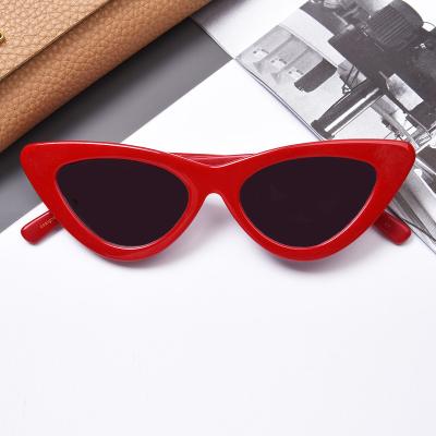 China Fashionable optical sight fun eyewear acetate glasses frames unisex optical glasses frames for sale