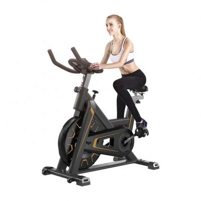 China Indoor Control Safe Silent Magnetic Strength Training Flywheel Spin Bike for sale