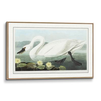 China Classic John James Audubon Oil Painting For Living Room, Modern Home Office Decor 3D Wall Art Oil Paintings Pinturas Views for sale