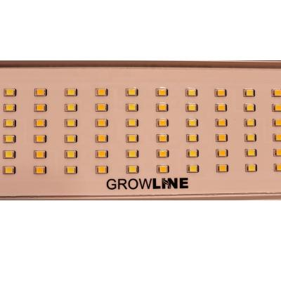 China Seed starting 720w led grow light bar, 6 pcs led bars grow red blue and white lights, help plants grow quickly for sale