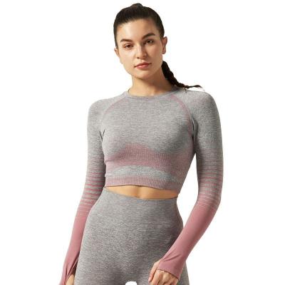 China QUICK DRY Hot Woman Seamless Workout Set High Waist Long Sleeve Sports Legging Sets Two Piece Yoga Wear Jogging Set for sale