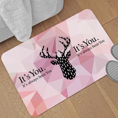 China Sale Anti Slip Bathroom Luxury Quick Dry Bath Mats Washable Warm Eco-Friendly Floor Blankets Large for sale