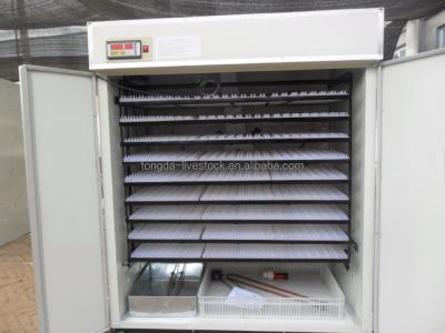 China Bird CE approved full automatic brooder for chicks eggs TD-2376 incubator for sale