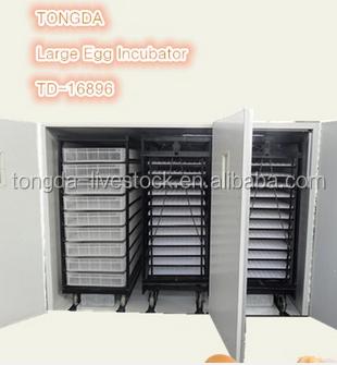 China TD-16896 Full Automatic Large Capacity Bird Egg Incubator for 6000 Goose Eggs for sale