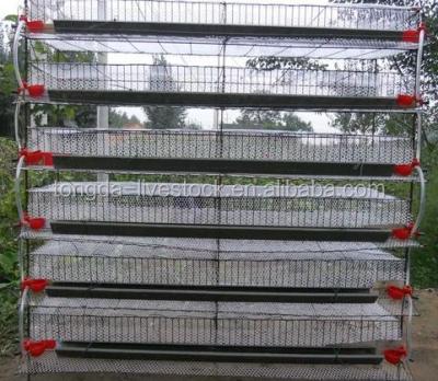 China Brand new chicken battery quail cages for poultry farm with high quality h type quail cage for sale