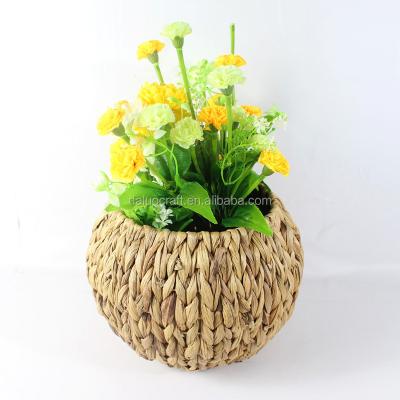 China Europe Manufacturer Wholesale Water Hyacinth Pot Hot Sale Water Hyacinth Pot for sale