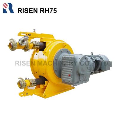 China High Viscosity Township Pipe Pumping Fair Popular Pump for sale