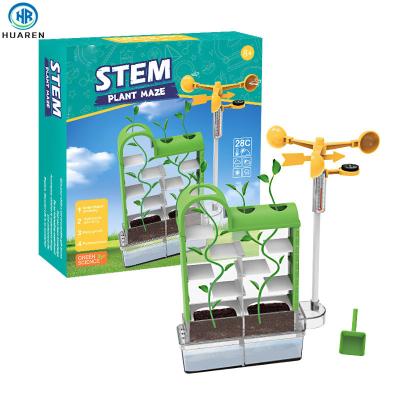 China Educational Science Mini Plant Maze Growing DIY Toy Funny Indoor Greenhouse Kit Shantou Factory Grow Botany for sale