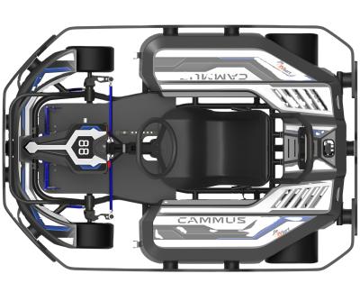 China Cammus App Adjustment Control Karting High Torque 57Nm 4000W Electric Chassis Racing Go Karts Adults 10*4.5-5/11*7.1-5 Inch for sale