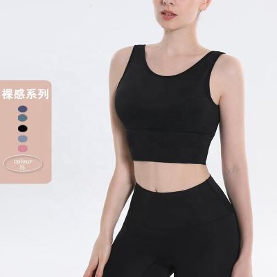 China High Quality Spandex Yoga Sports Bra Mesh Eco-Friendly Fashion Breathable for sale