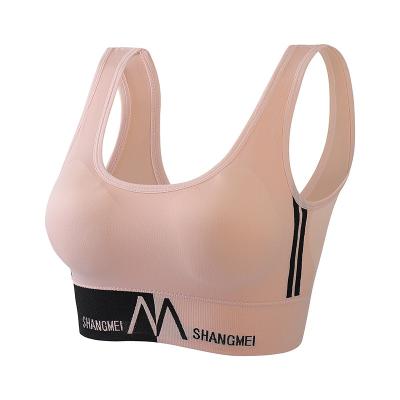 China Custom Logo Women Seamless Back U Sports Ribbed Seamless Ladies Yoga Tops Shock Resistant Gym Vest Protective Sports Bra for sale