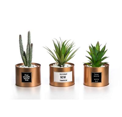 China Grass Cactus Decoration Set of 3 Mini Artificial Plants Plastic Green with Box Pot Special Gold Design for sale