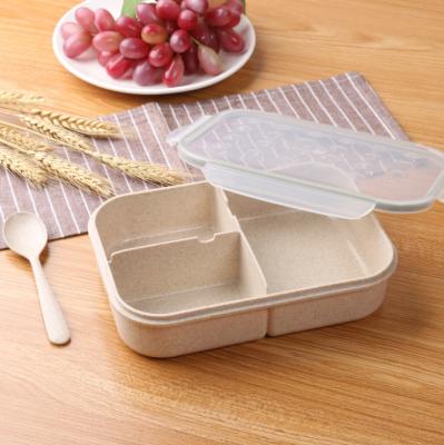 China Freshness Preservation Bento Box For Adults Lunch Containers For Kids 3 Compartment Lunch Box Food Containers Microwave Safe for sale