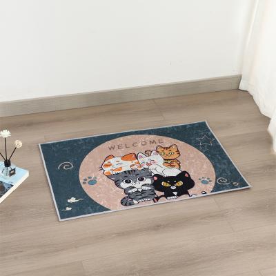 China Simple Modern Washable Crystal Velvet Entry Door Mat For Home for sale