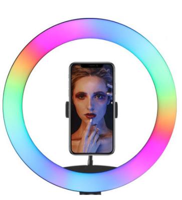 China For Lazy Live Stream /Makeup/YouTube Video Phone Holder RGB Led Ring Light Make Up Ring Light 10 Inch 26cm Ring Light For Digital Camera for sale