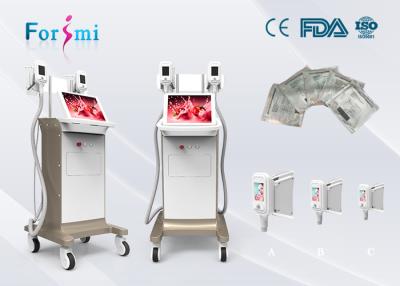 China Fat freeze best cooling system Cryolipolysis Slimming Machine FMC-I Fat Freezing Machine for sale