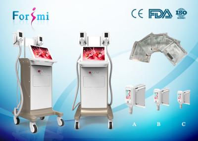 China 3~5kg weight Reduction by 1 treatment 3.5 inch Cryolipolysis Slimming Machine FMC-I cryolipolysis machine for sale