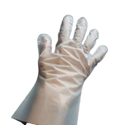 China Rizhao HUAHANG China Multifunctional Factory Poly Band M2g Disposable Glove for sale