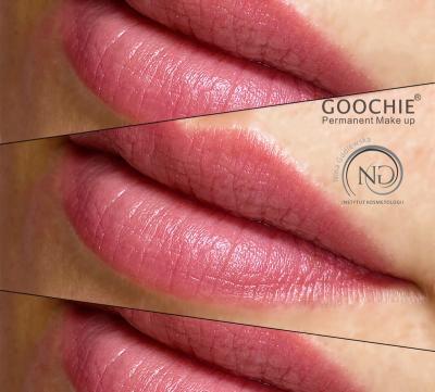 China Digital PMU best brand Goochie micropigmentation permanent makeup machine zu verkaufen