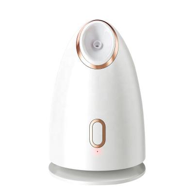 China Professional Nano Facial Steamer DK-ZL01 DEEP CLEANING Nano Steamer for sale