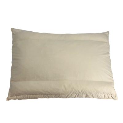 China Best choice cheap double function comfortable feather and pipe (feather+pipe) dual function pillows for sale