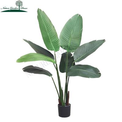 China Cheap Real Touch Fake Strelitzia Plant For Weddings Decoration Green 120Cm Artificial Banana Tree for sale