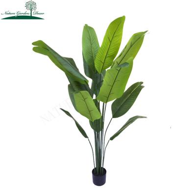 China Real Touch Newcomer Factory Houses Outdoor Faux Banana Tree Decor Real Touch Plastic Tree Decoration for sale