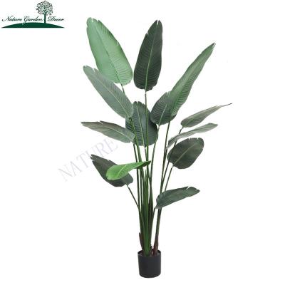 China Real Touch New Arrival Artificial Tropical Strelitzia Plant Realistic 6ft Home Decoration Fake Banana Tree for sale