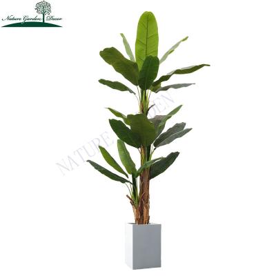 China Real Touch Unique Fake Plastic Travelers Palm Trunk Evergreen 8ft Artificial Plants And Greenery for sale