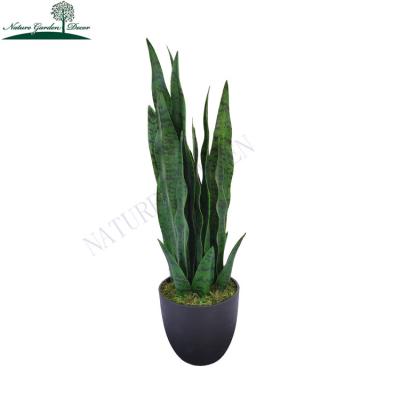 China Real Touch Evergreen Sansevieria Plants Plastic Black Planter Indoor Almost Natural Sansevieria Snake Plant for sale