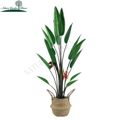 China Almost Natural Real Touch Faux Trees For Indoor Outdoor Decoration Fake Skybird Green Silk Bird Of Paradise Artificial Flowers for sale