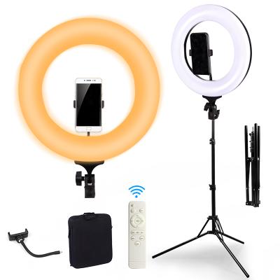 China Photography studio led ring light 14inch make up tiktok beauty light lamps with tripod stand for photographic lighting 14inch/36cm for sale