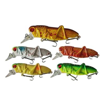 China OEM 50mm 5g 75mm Outdoor Skip 10g Grasshopper Hard Fishing Tackle Carp Fly Spinner Bait Rigs Build Tool Wobbler Fishing Lure for sale