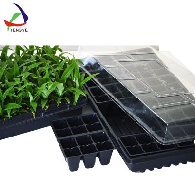 China Plastic High Quality Vacuum Forming Factory Customized Service Multi Design Plastic Tray for sale