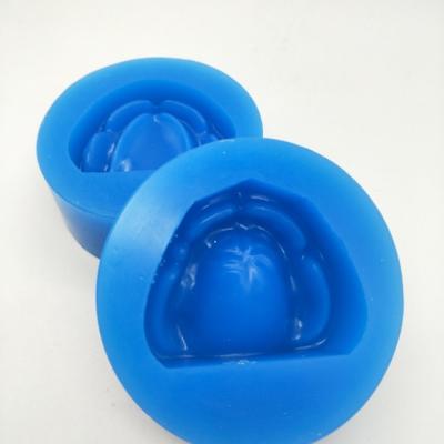 China Economic Type Teaching School Standard Model Silicon Dental Study / Rubber Model Education for sale