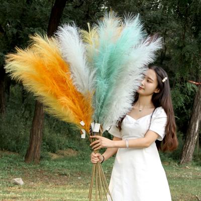 China Eco-friendly Artificial Wedding Party Decorations Faux Customized Size And New Color Pampas Design for sale