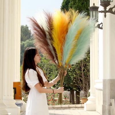 China New Eco-Friendly Selloana Gray Pampas Grass Phragmites Communis Pampas de Cortaderia Desgin Deco Pampas Wedding Fans for sale