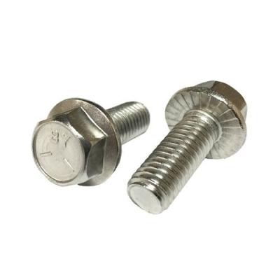 China Heavy Duty Stainless Steel M6 M8 M10 M12 M16 DIN 6921 Stainless Steel Hex Flange Serrated Bolt for sale