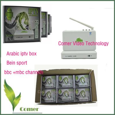 Cina contenitore arabo di ricevitore IPTV di androide TV dell'input di CC di 5V 2A con le norme dell'AMICO NTSC TV in vendita