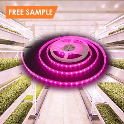 Κίνα Seed Starting Full Spectrum Indoor Plant LED Strip Grow Light Custom Waterproof 2835 5050 Led Grow Light Strip προς πώληση