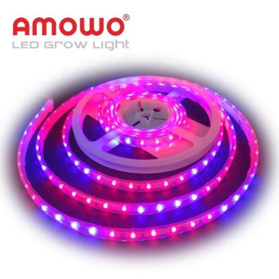 Κίνα Seed Starting Free Sample 2835 5050 Hydroponic LED Grow Strip Full Spectrum προς πώληση