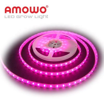 Κίνα Seed Starting Free Sample To Grow To Bar Hydroponic Led Strip Grow Lights For Greenhouse προς πώληση