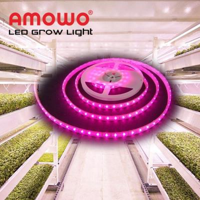 Κίνα Seed Starting Free Sample Led Grow Lights Waterproof Led Strips Full Spectrum Light For Growing Strip προς πώληση