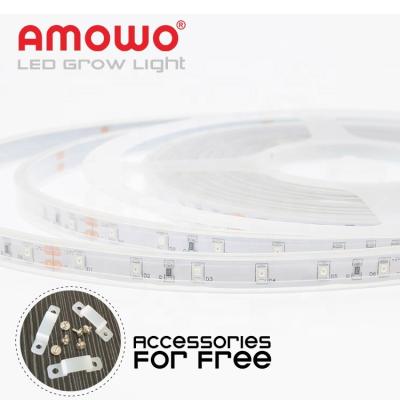 Κίνα Seed Starting Free Sample LED Grow Light Strip Hydroponic Grow Strip LED Grow Light Strips Full Spectrum προς πώληση