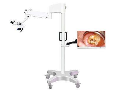 China HD Microscope Dental Operating Microscope, Dental Surgical Microscope, Endodontic Microscope With Camera for sale